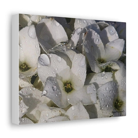 Elegant Floral Canvas Gallery Wraps - White Flowers with Dewdrops - Perfect Wall Art for Home Decor - Ormond Beach Boutique