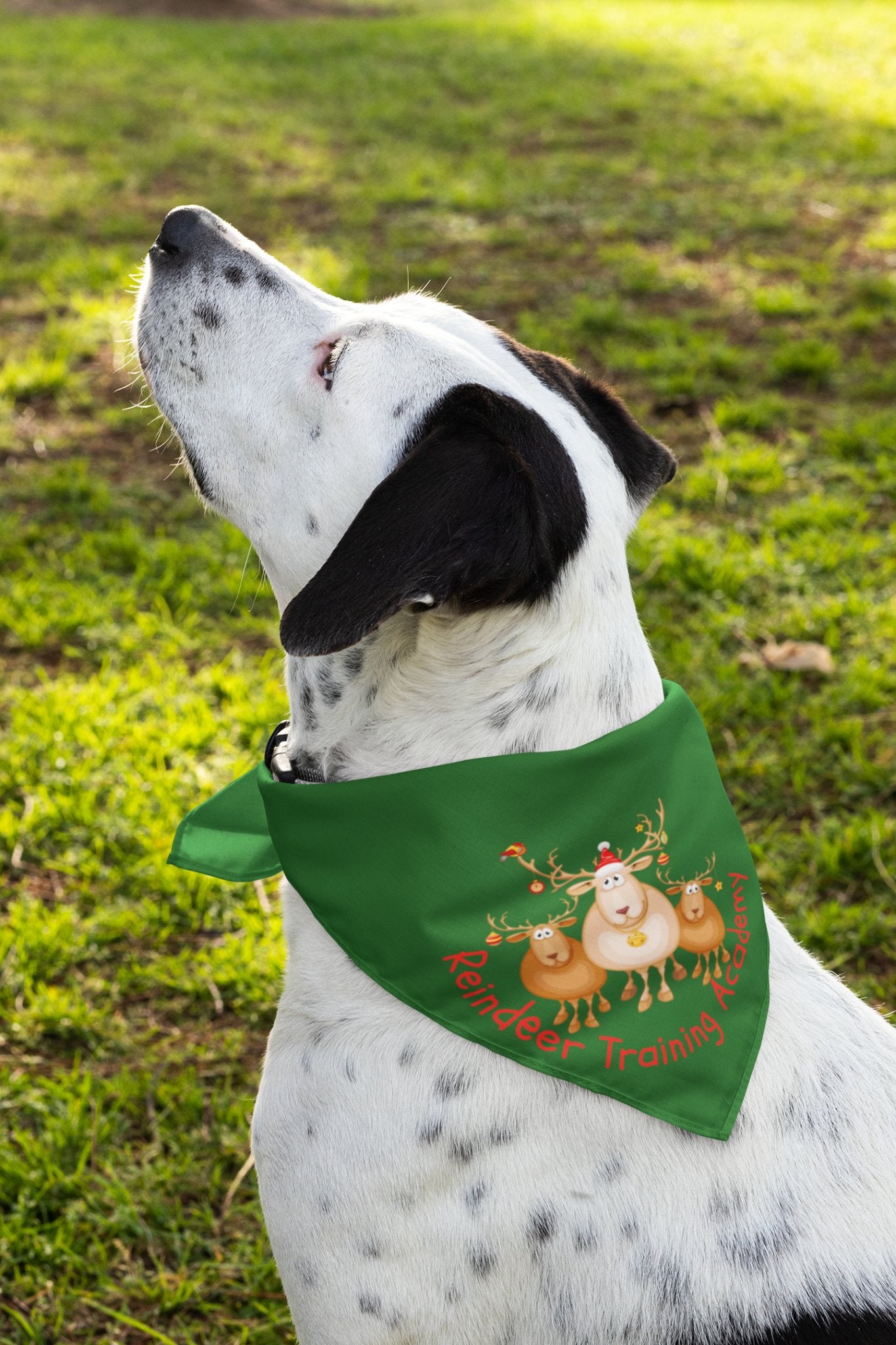 Festive Reindeer Pet Bandana - Christmas Dog Accessory - Ormond Beach Boutique