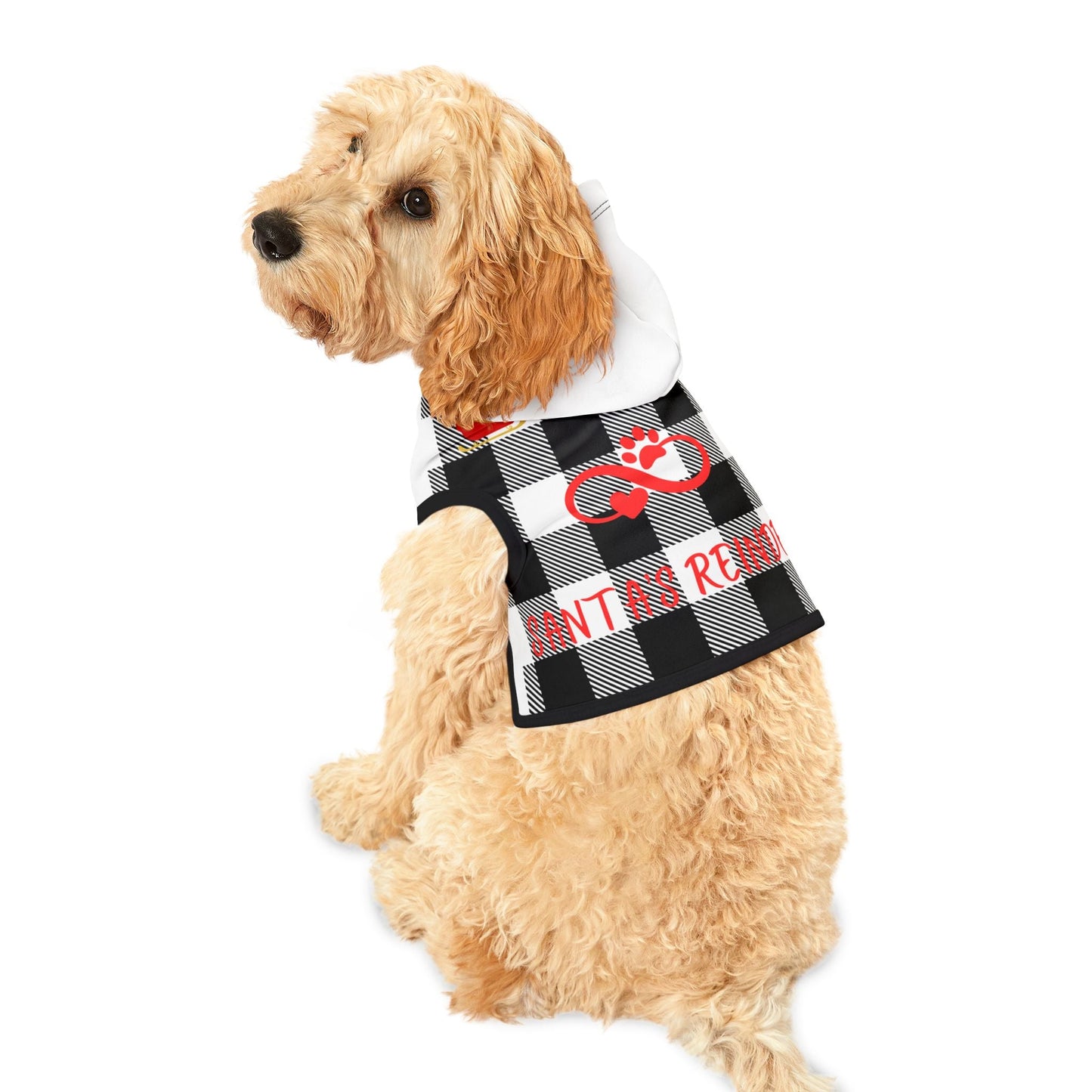 Pet Hoodie - Ormond Beach Boutique