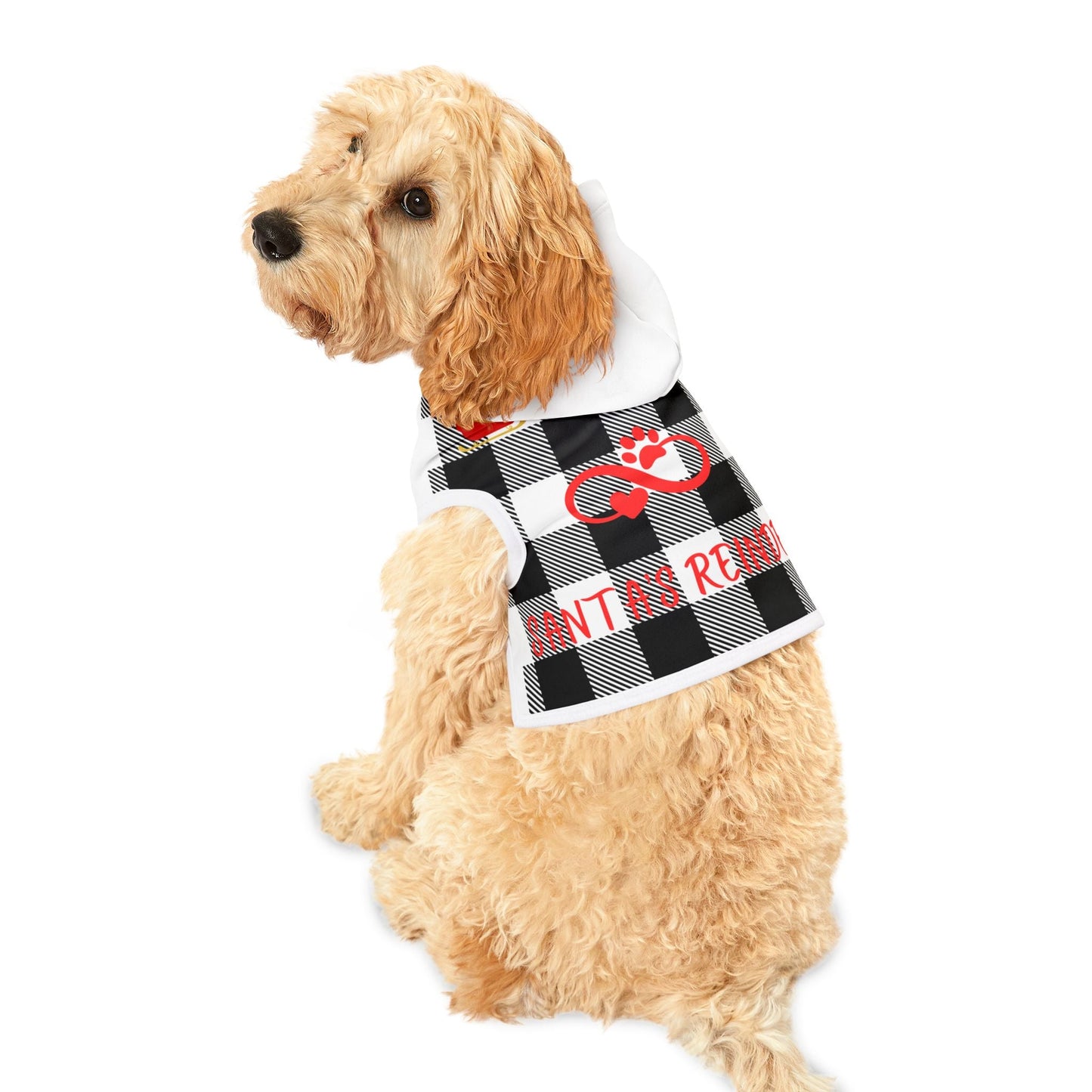 Pet Hoodie - Ormond Beach Boutique