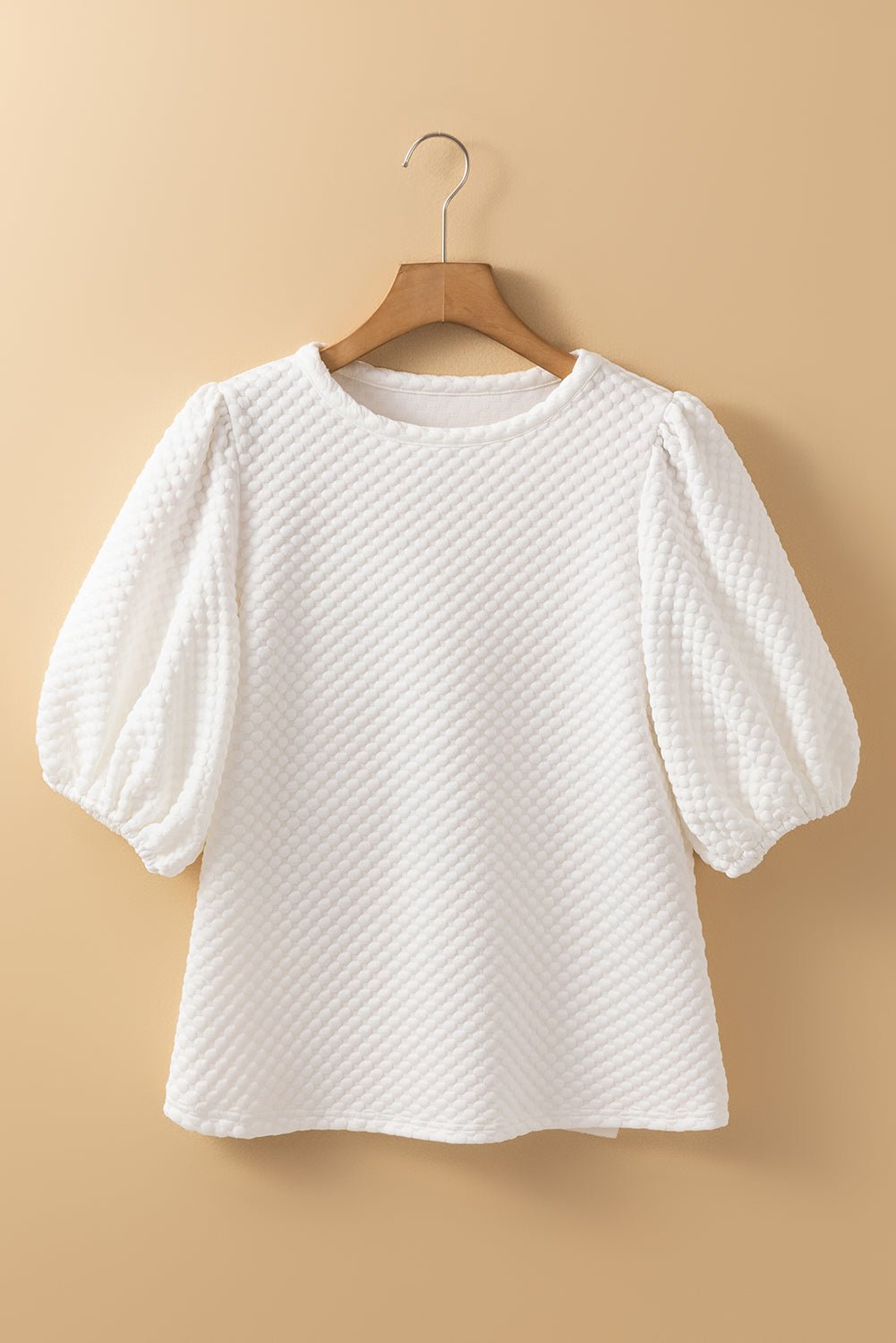 Textured Round Neck Puff Sleeve Blouse - Ormond Beach Boutique