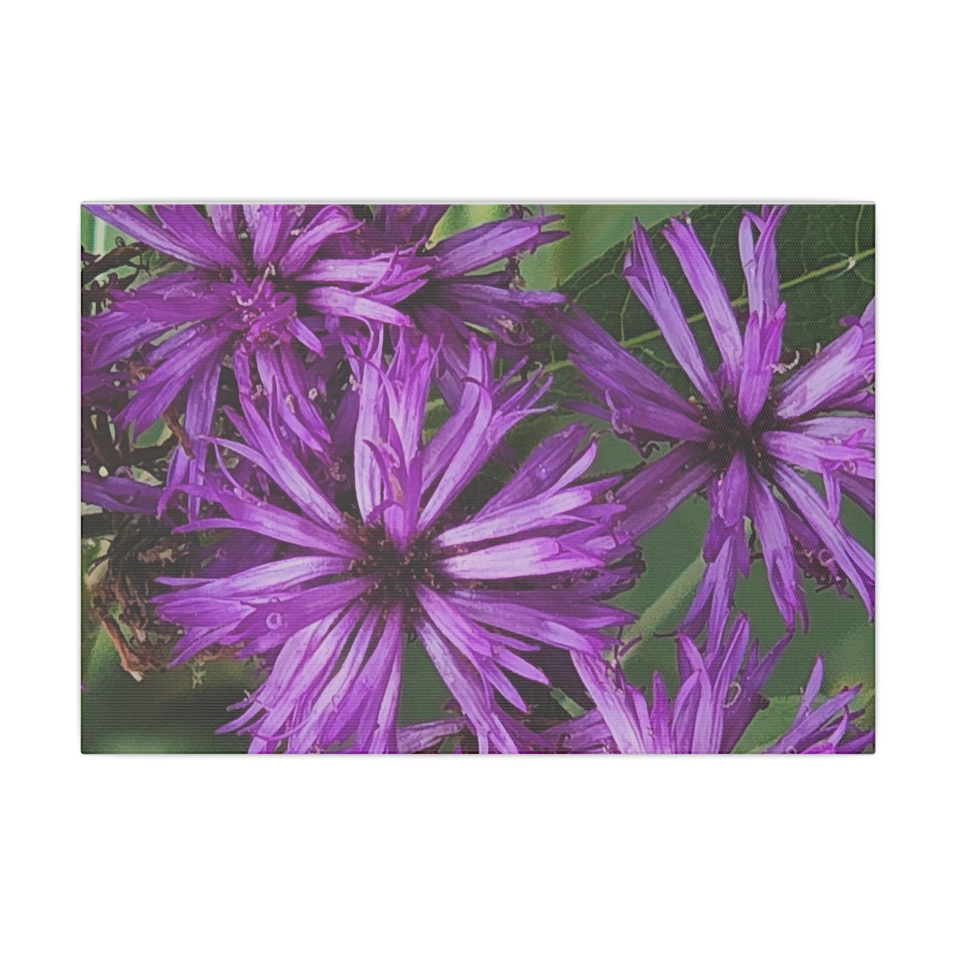 Vibrant Floral Giclée Print Canvas - Purple Beauty for Home Décor - Ormond Beach Boutique