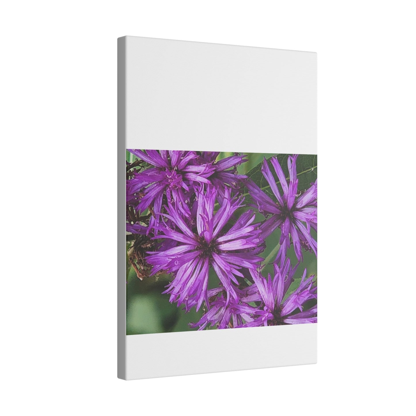 Vibrant Floral Giclée Print Canvas - Purple Beauty for Home Décor - Ormond Beach Boutique