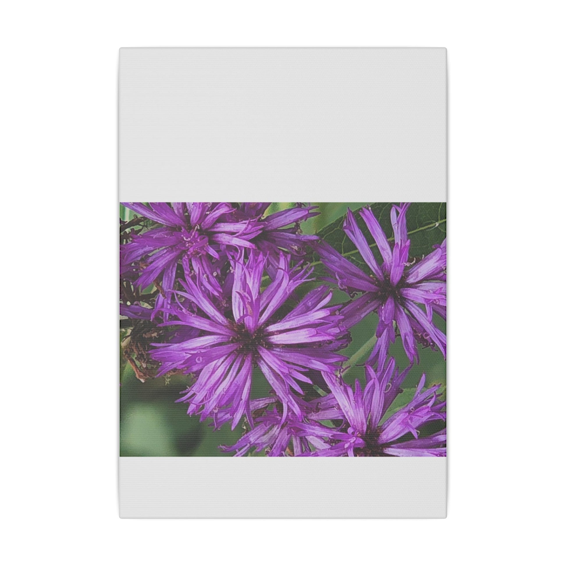 Vibrant Floral Giclée Print Canvas - Purple Beauty for Home Décor - Ormond Beach Boutique