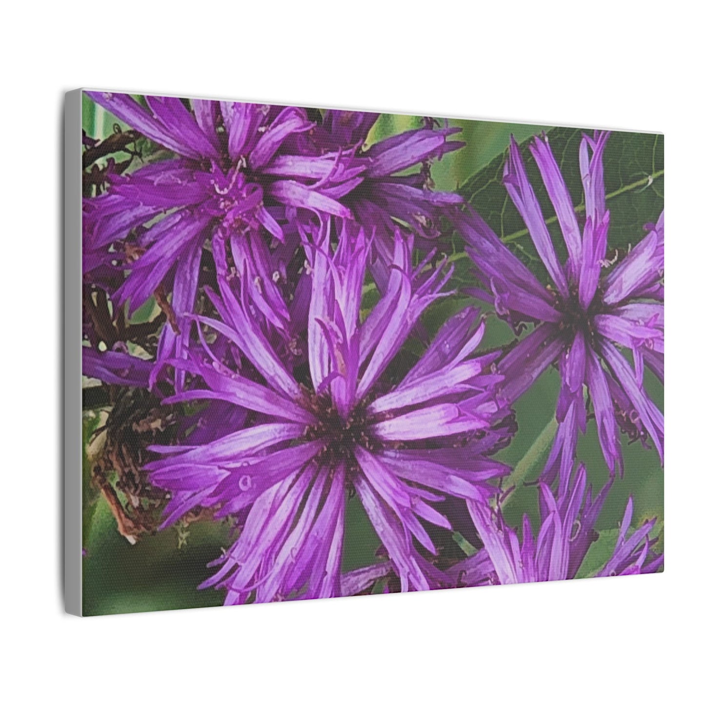 Vibrant Floral Giclée Print Canvas - Purple Beauty for Home Décor - Ormond Beach Boutique