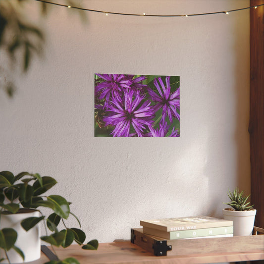 Vibrant Floral Giclée Print Canvas - Purple Beauty for Home Décor - Ormond Beach Boutique